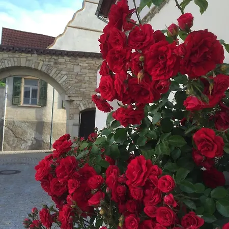 Im Barockhaus Gross-winternheim * Ingelheim am Rhein