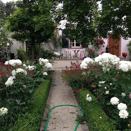 Apartment Im Barockhaus Gross-winternheim Ingelheim am Rhein