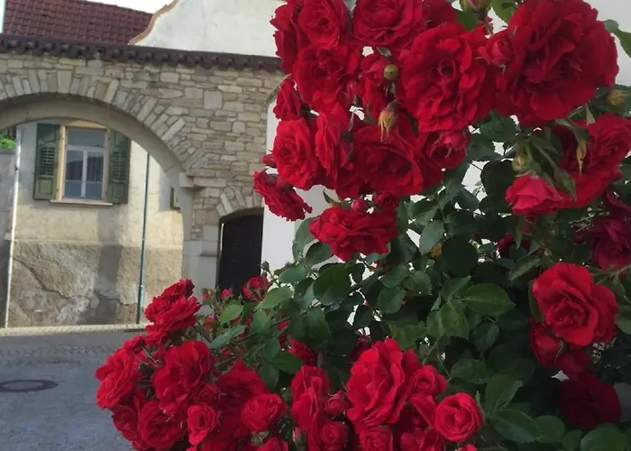 Im Barockhaus Gross-winternheim * אינגלהיים אם ריין