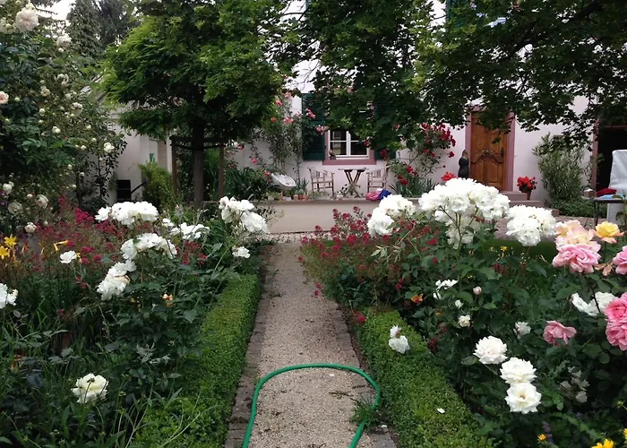 דירה Im Barockhaus Gross-winternheim אינגלהיים אם ריין